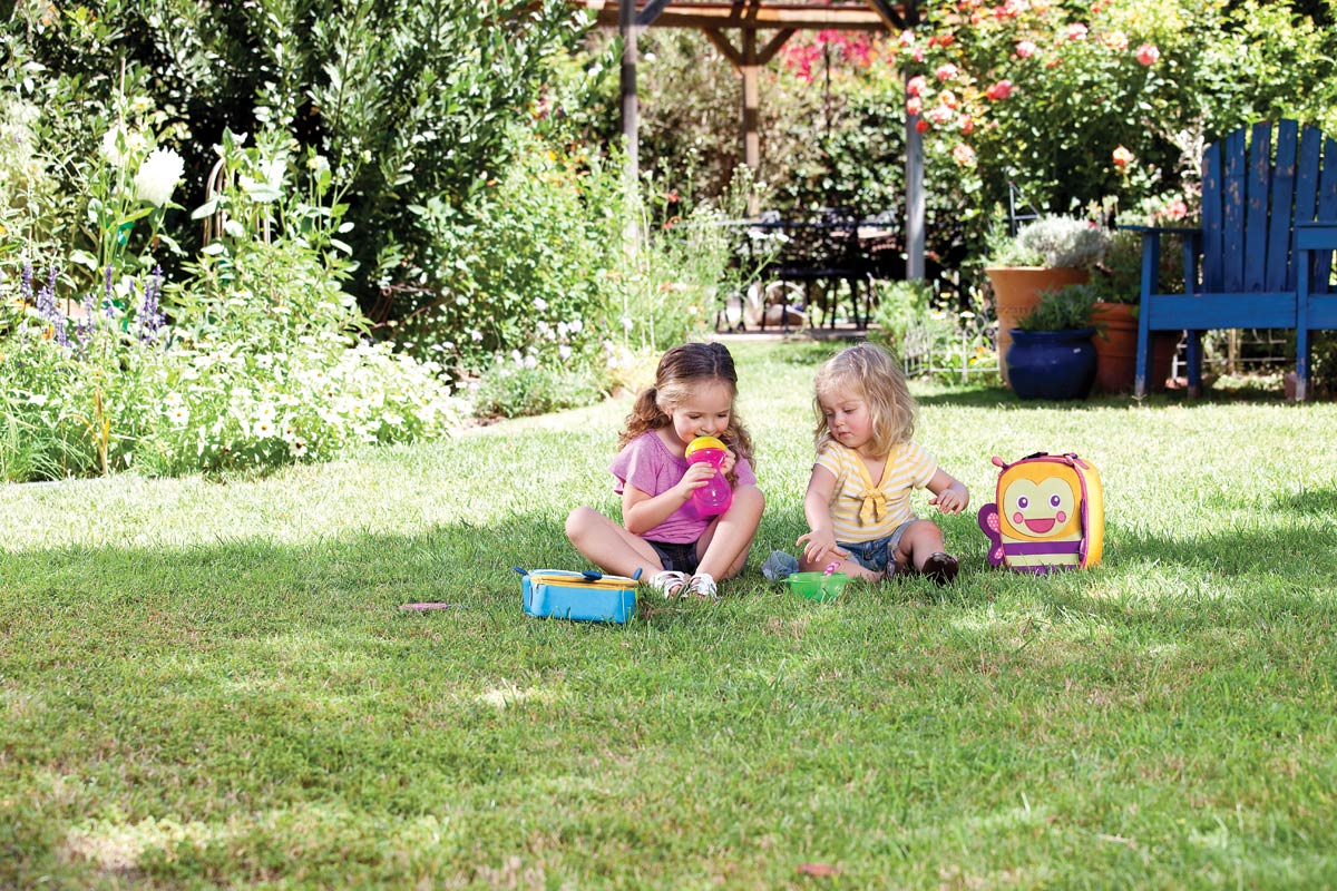 Ισοθερμική Τσάντα Γεύματος Μαϊμού