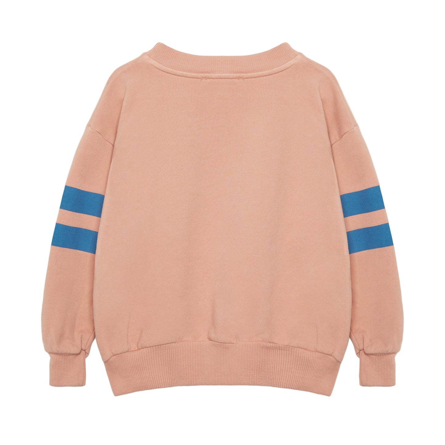 52B.25541_1052 # Παιδική Μπλούζα Φούτερ Blue Dog Stripes