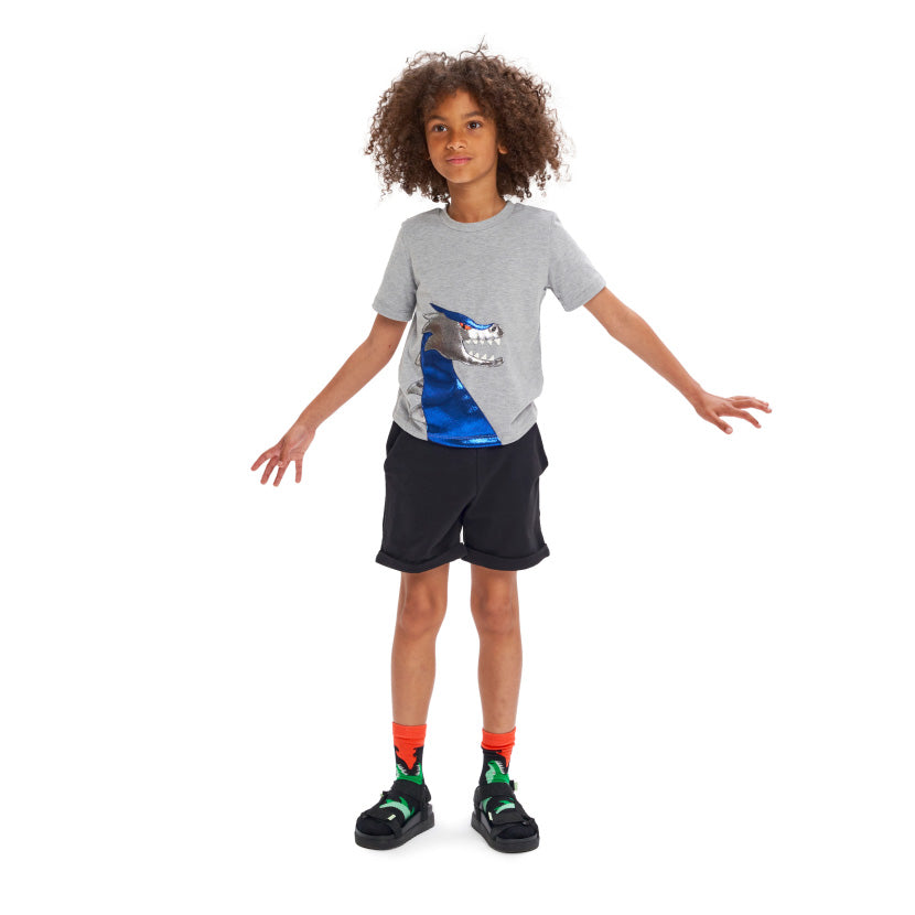 Παιδική Μπλούζα T-Shirt Dragon