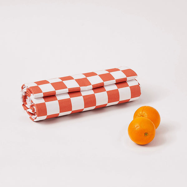 Σακίδιο Πλάτης - Cooler για Picnic Terracotta