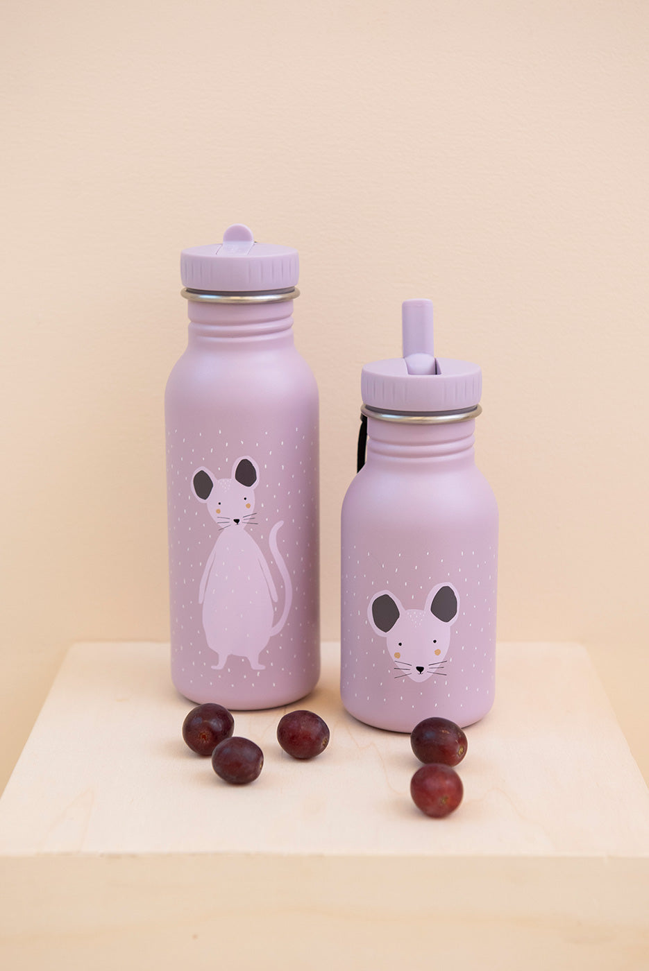 Παγούρι από Ανοξείδωτο Ατσάλι 350ml Mrs Mouse