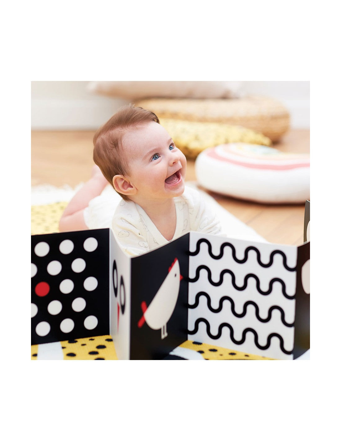 99.BP77376 # Set High Contrast Book and Card