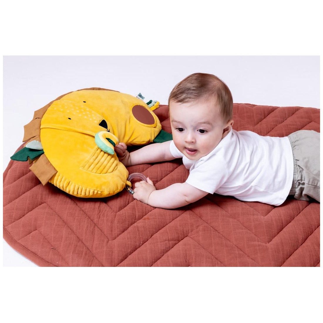 99.T24934 # Baby Activity Pillow Mr Lion