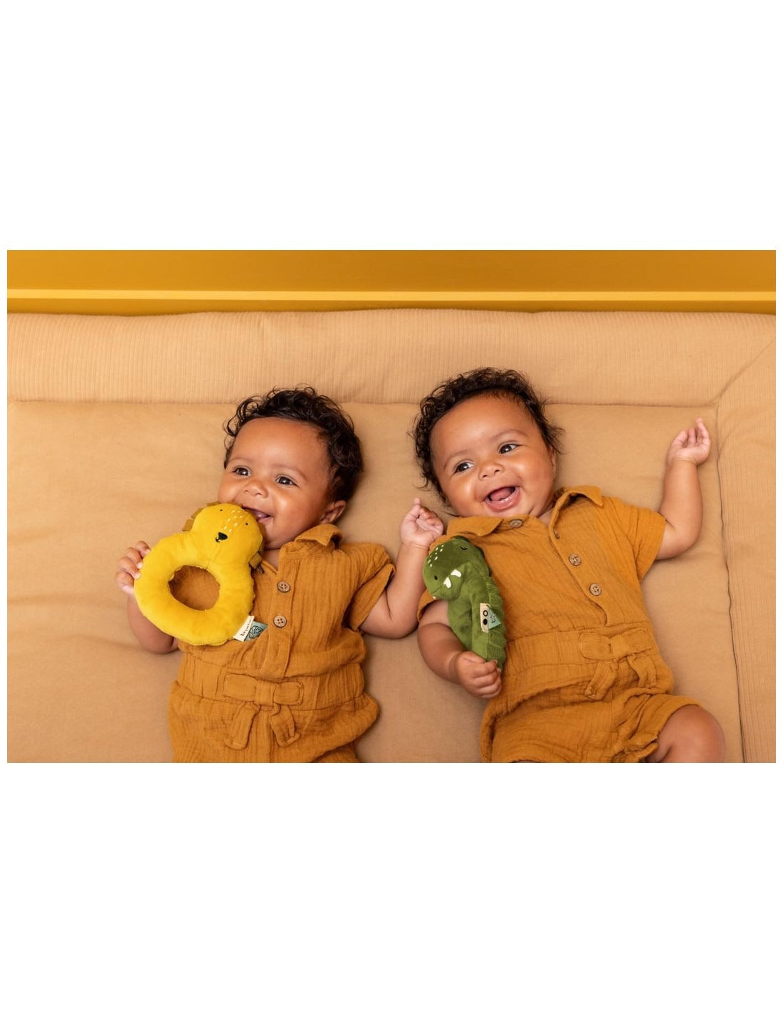 99.T24870 # Round Rattle Mr Lion