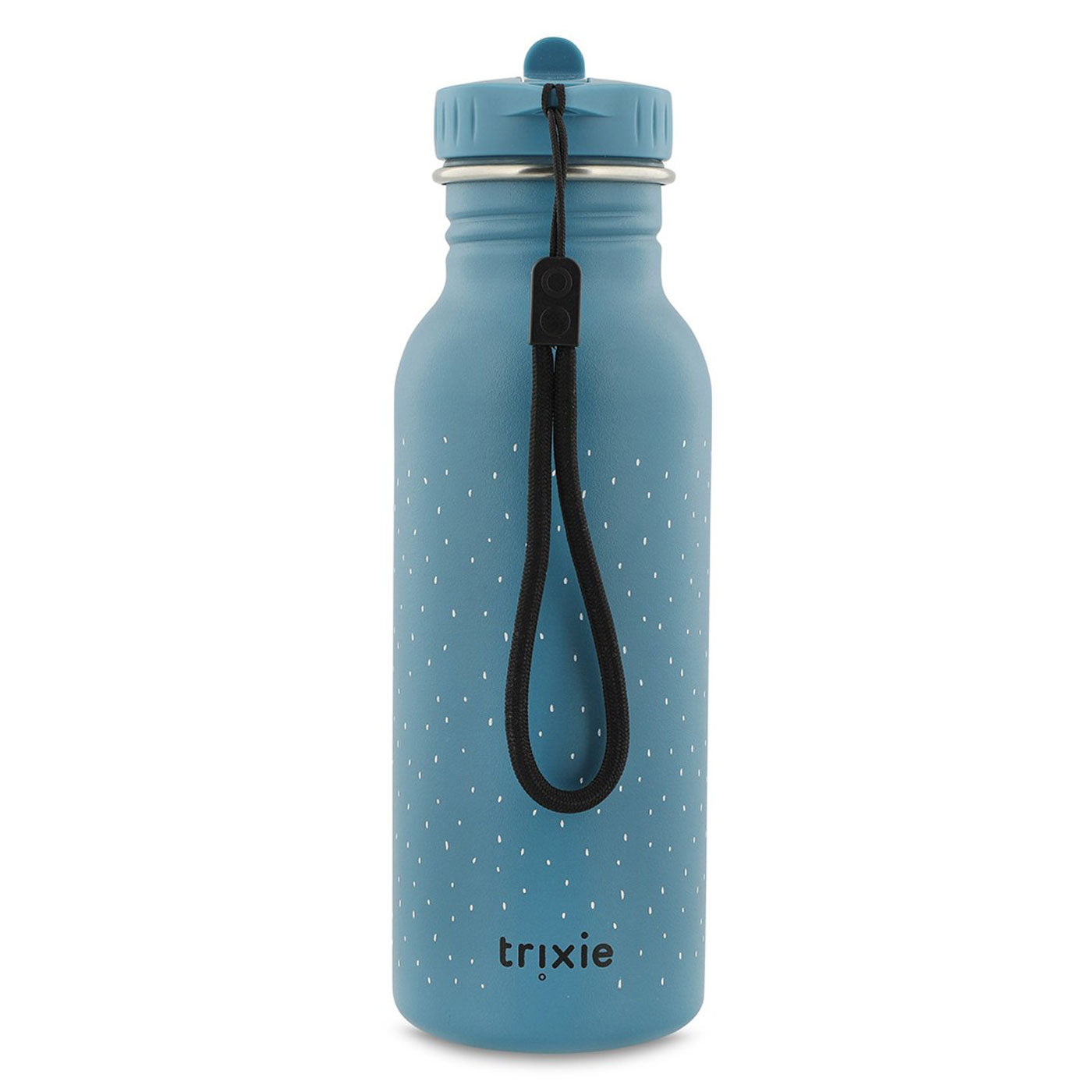 99.T41228 # Stainless Steel Water Bottle 500ml Mr Triceratops