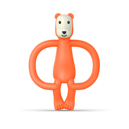 Μασητικό Bear