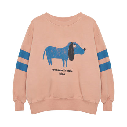 52B.25541_1052 # Παιδική Μπλούζα Φούτερ Blue Dog Stripes