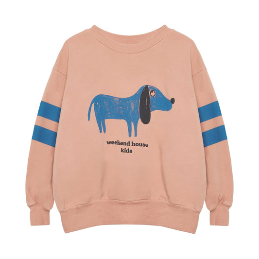 52B.25541_1052 # Παιδική Μπλούζα Φούτερ Blue Dog Stripes