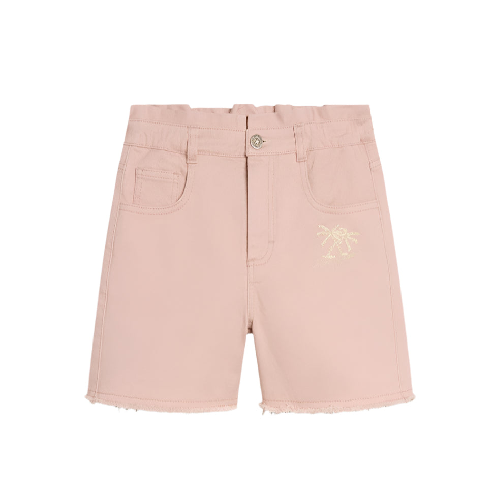 52A.GKP01765.1934.25235 # Kids Shorts Journey Pink