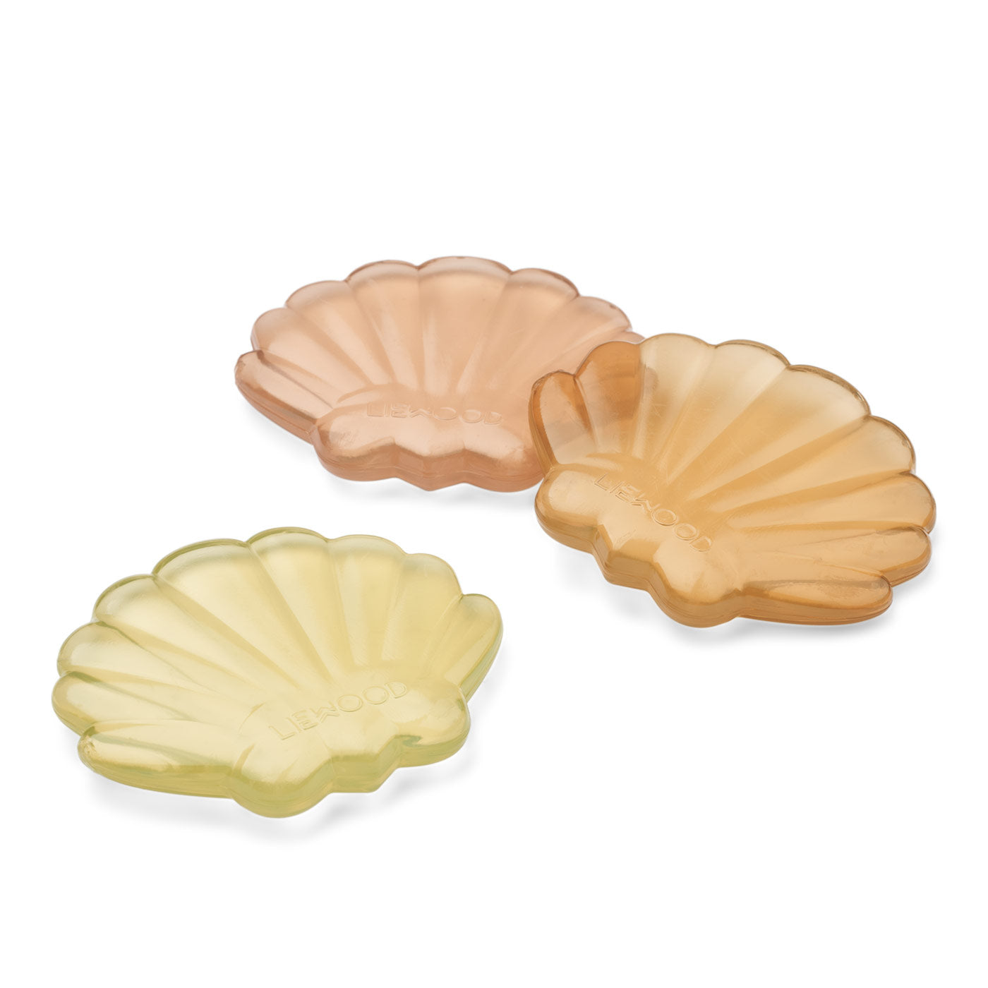 Παγοκύστες Seashell