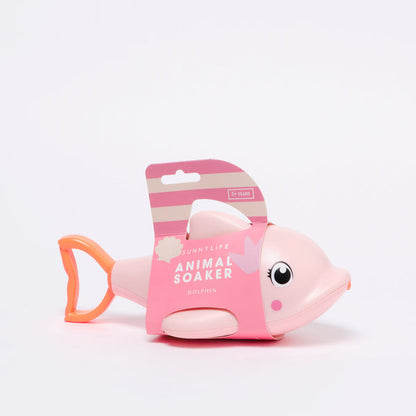 Παιχνίδι Παραλίας Dolphin