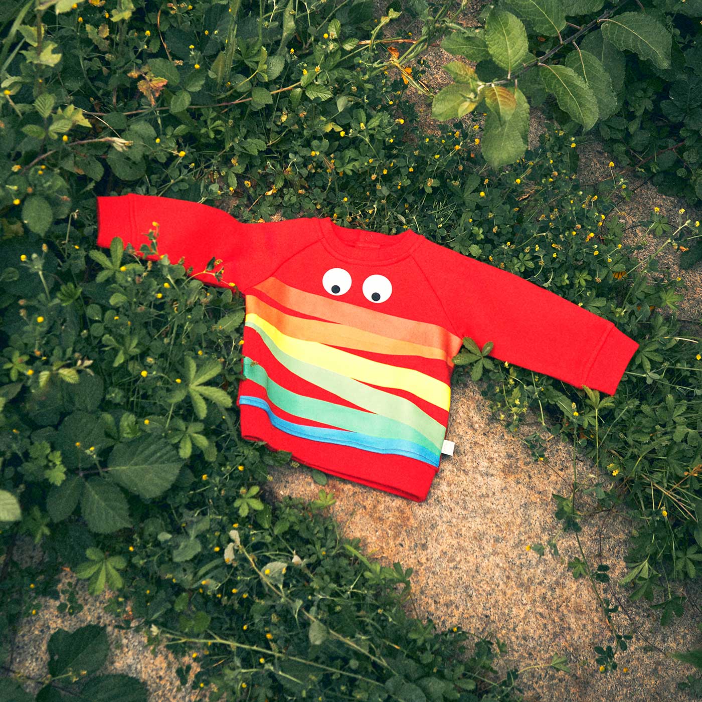 Βρεφική Μπλούζα Φούτερ Rainbow Monster