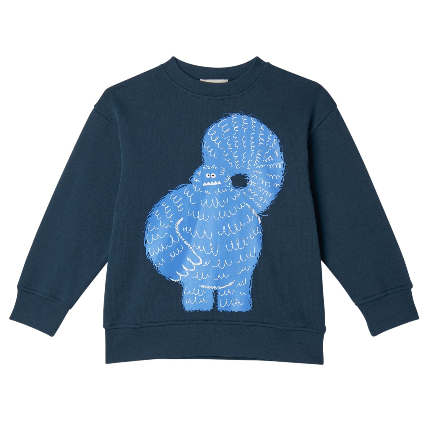 52B.TX4Q50_Z0453_633 # Kids Sweatshirt Blue Monster