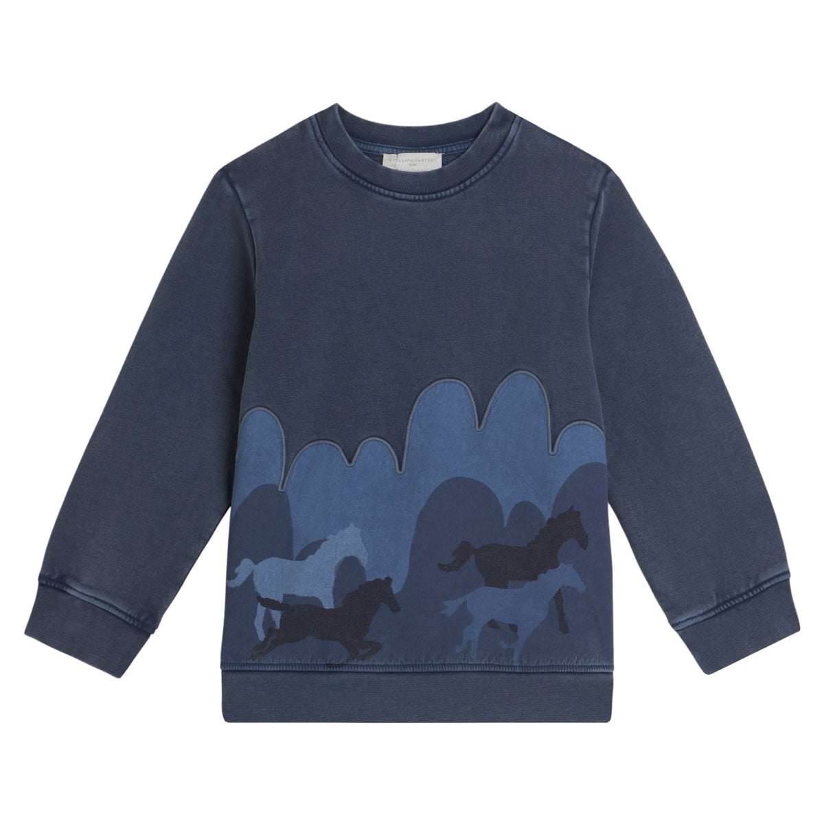 62B.TZ4Q00_Z3059_657 # Παιδική Μπλούζα Φούτερ Blue Horses