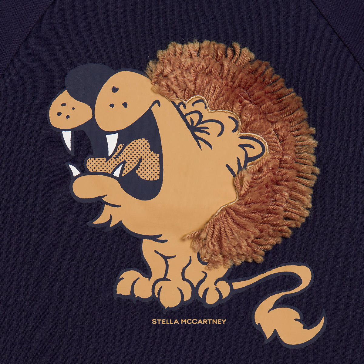 Kids Sweatshirt Lion