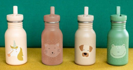 Παγούρι από Ανοξείδωτο Ατσάλι 350ml Mr Cat