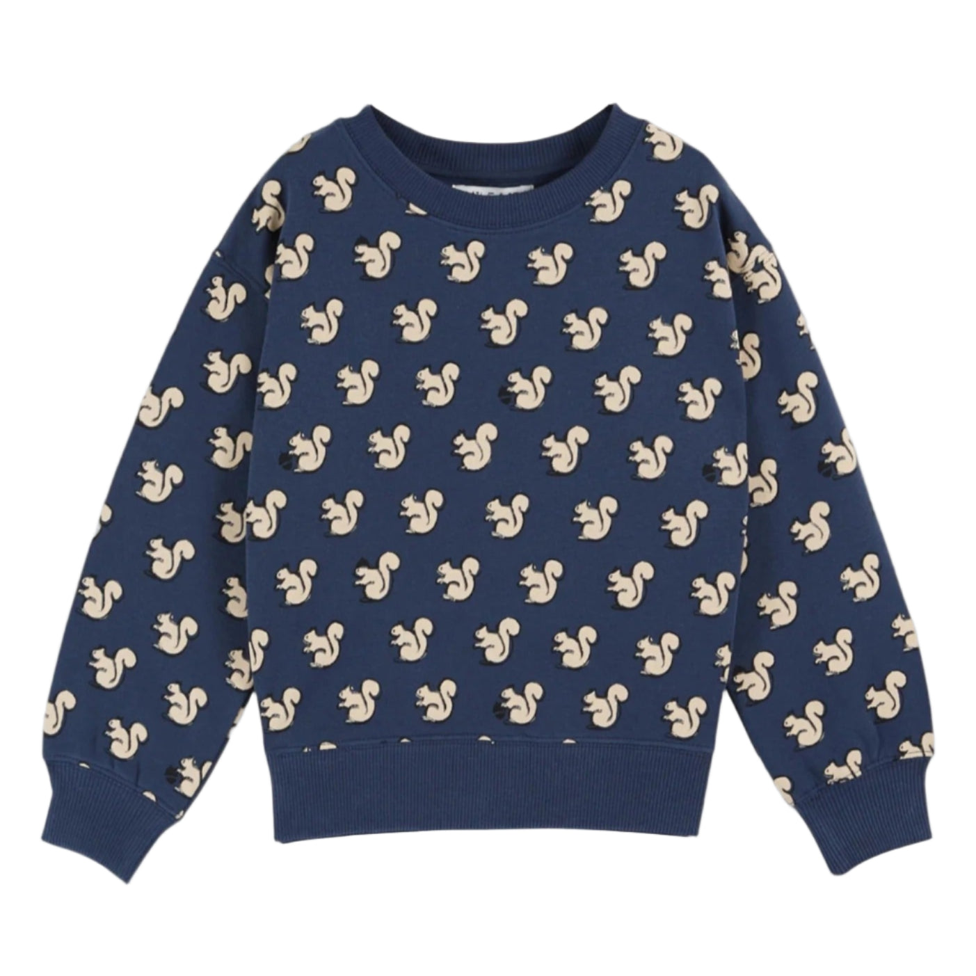 52B.AC101_MIN # Baby Squirrel Fleece Sweatshirt