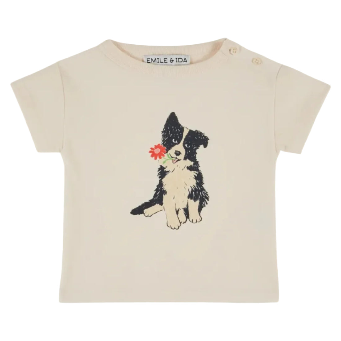 62A.AD010_CREME # Baby T-Shirt Border Collie