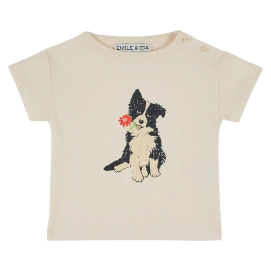 62A.AD010_CREME # Baby T-Shirt Border Collie
