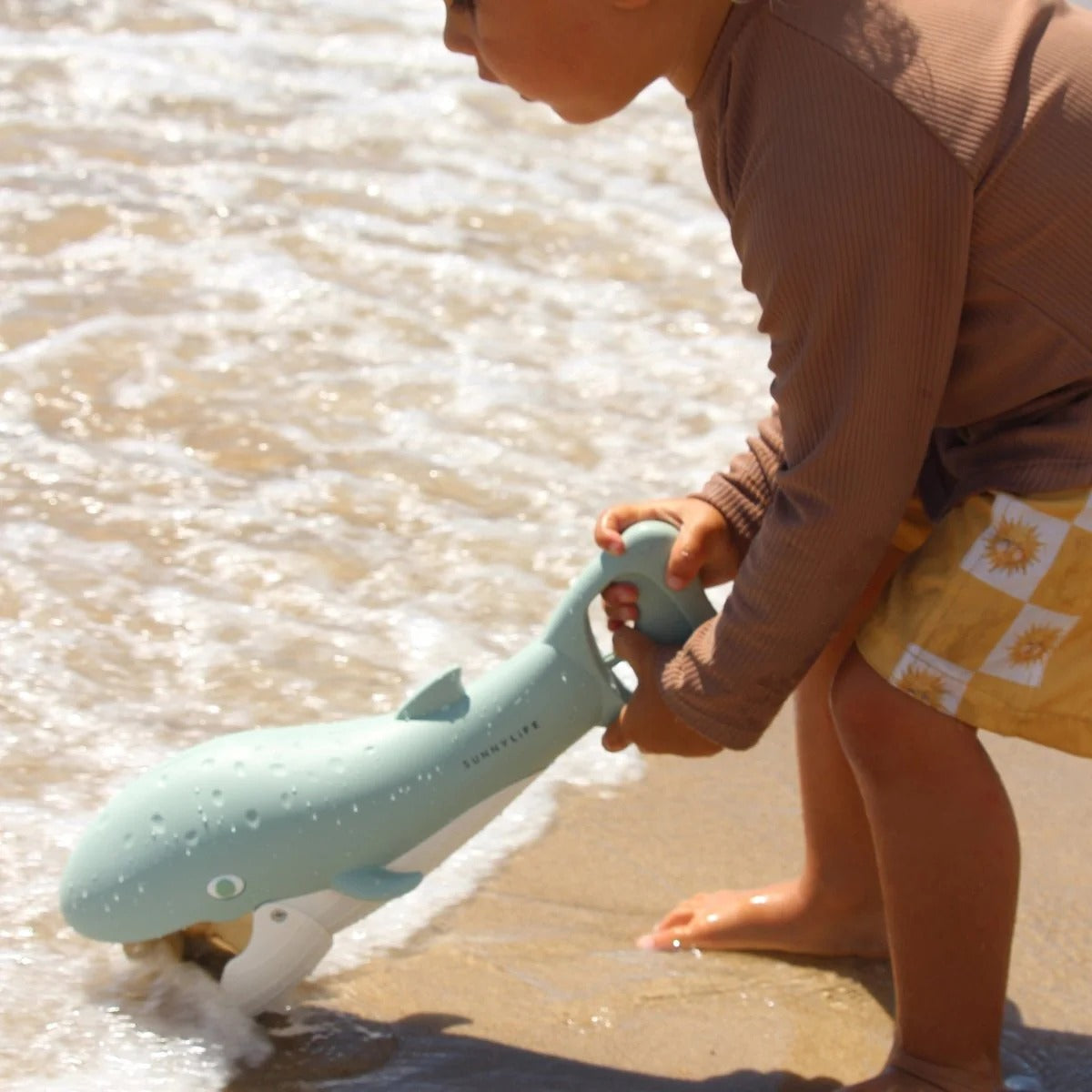 62A.S51SCLBL # Whale Sand Beach Game