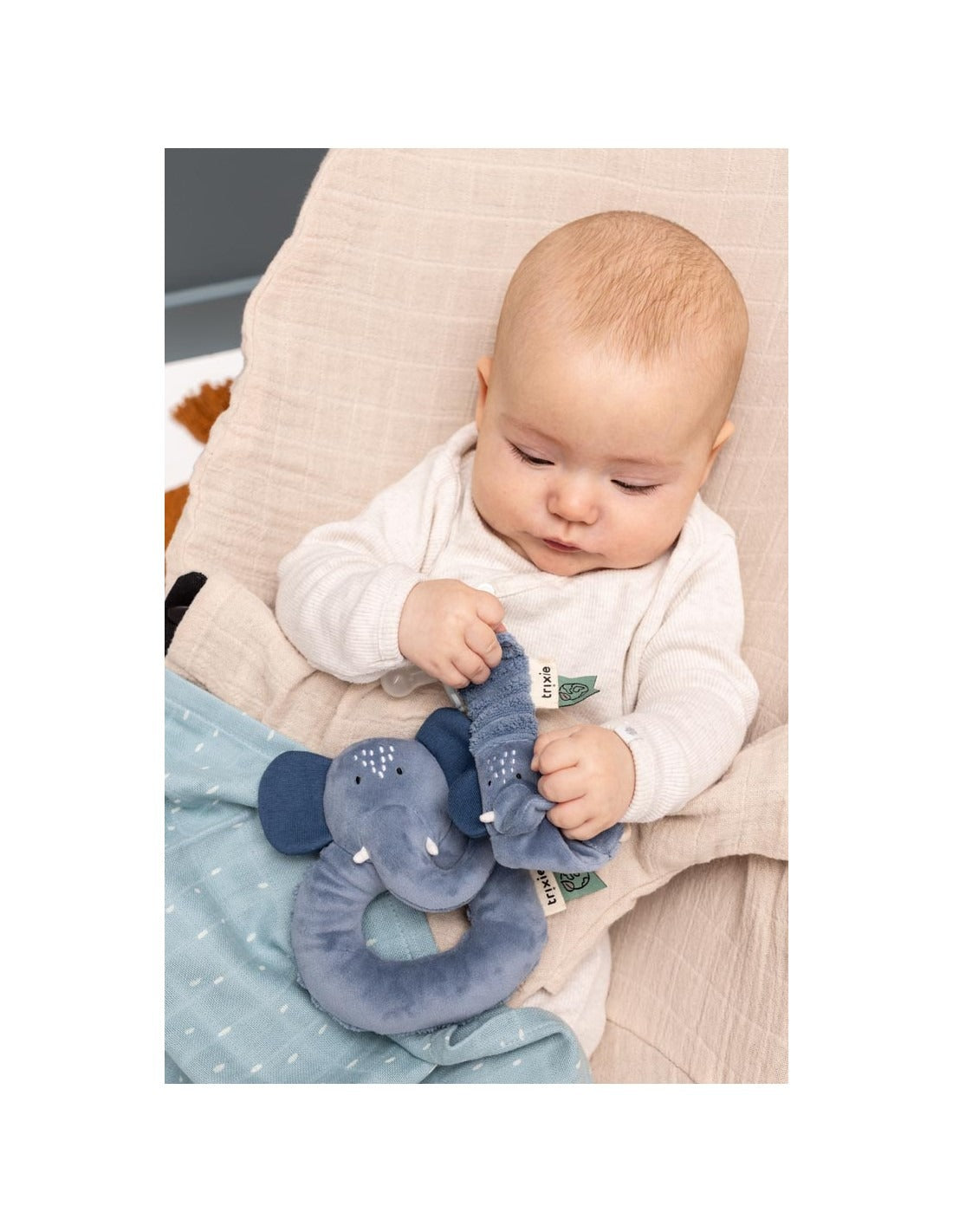 99.T24872 # Rattle Round Mrs. Elephant 