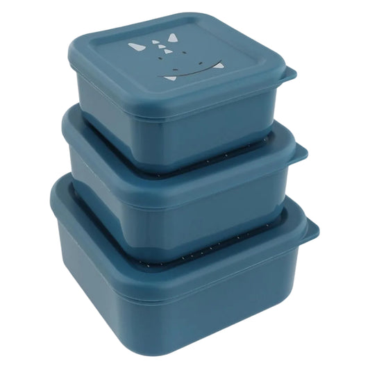 99.T05228 # Snack Container Set Mr Triceratops 3 pcs