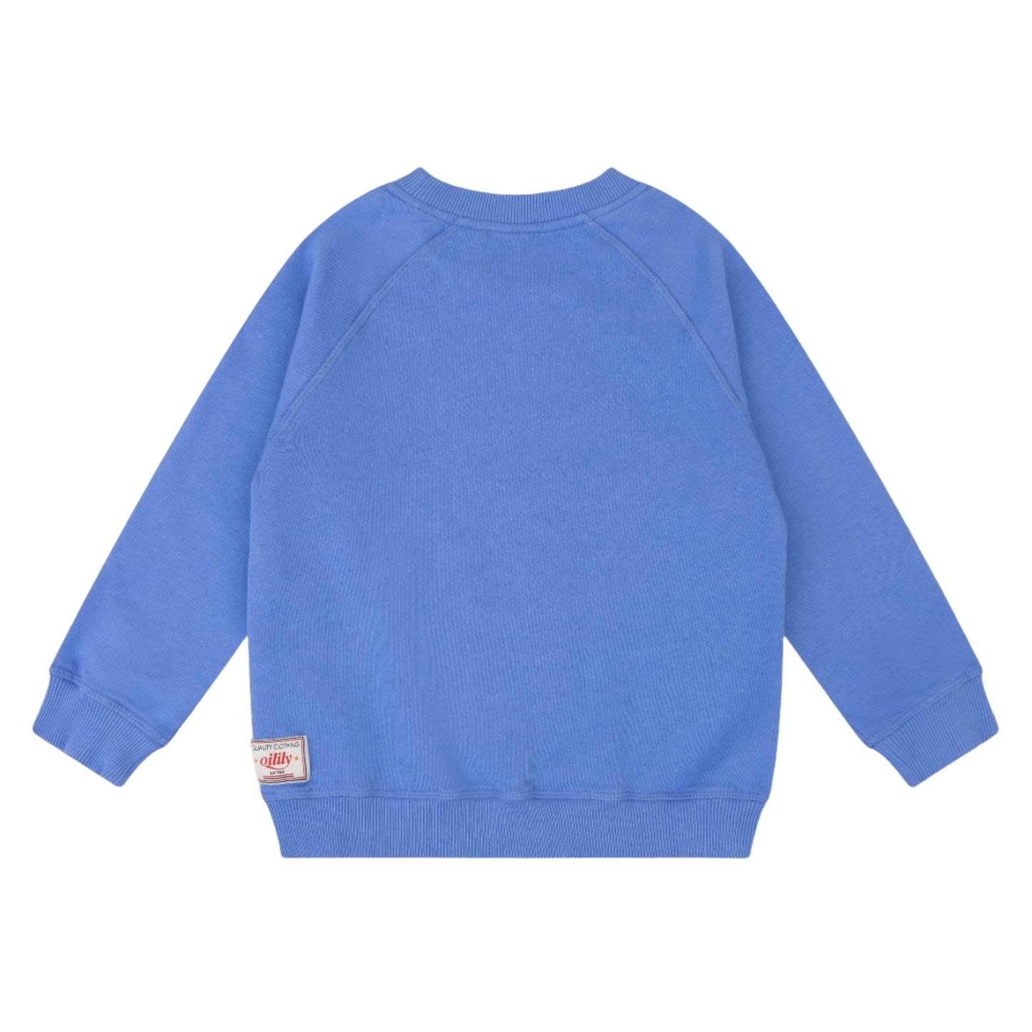 52B.YF25BHJ506 # Παιδική Μπλούζα Φούτερ Hutt Wedgewood