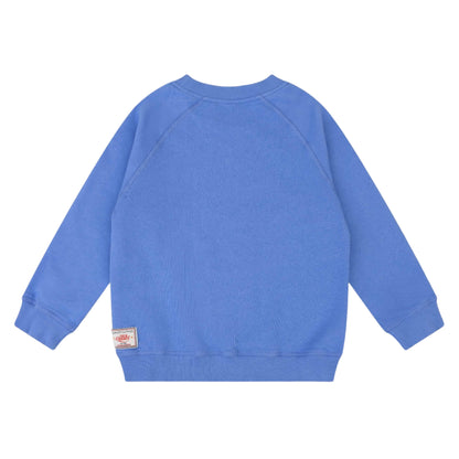 52B.YF25BHJ506 # Παιδική Μπλούζα Φούτερ Hutt Wedgewood