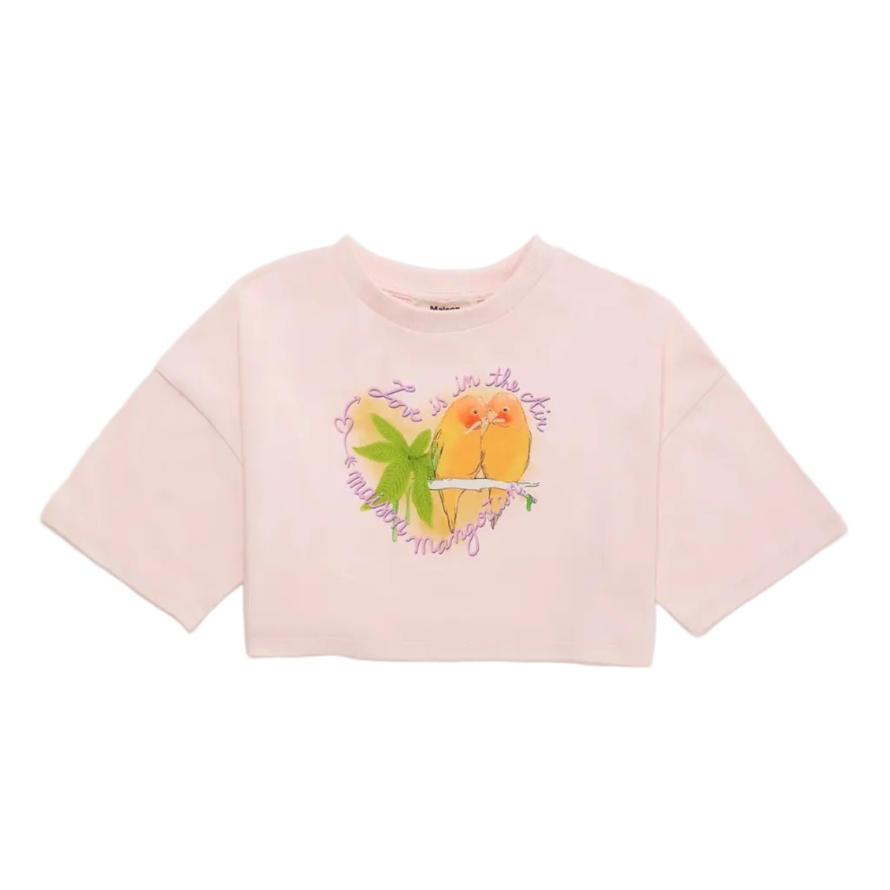 62A.26100507 # Kids Short Sleeve Crop Top Birds Pink