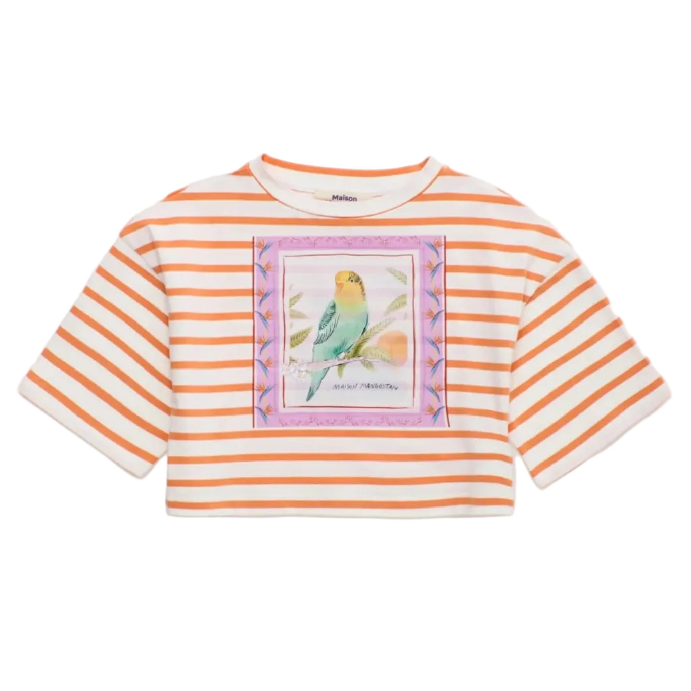 62A.26100512 # Kids Crop Top Birds Striped