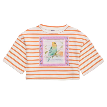 62A.26100512 # Kids Crop Top Birds Striped