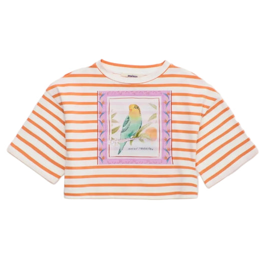 62A.26100512 # Παιδική Κοντομάνικη Μπλούζα Κροπ Birds Striped