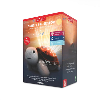 99.ZA-TIM-01 # Turtle Tim Projector