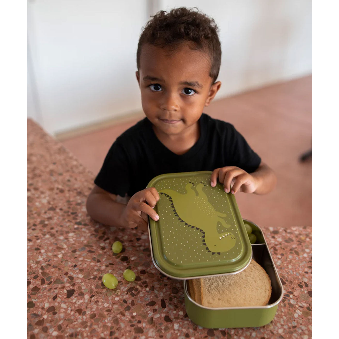 99.77945 # Mr Dino Large Food Container
