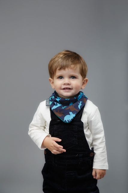 Set of Neckerbibs with Dinos and Stripes